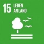 SDG 17 - Partnerschaften