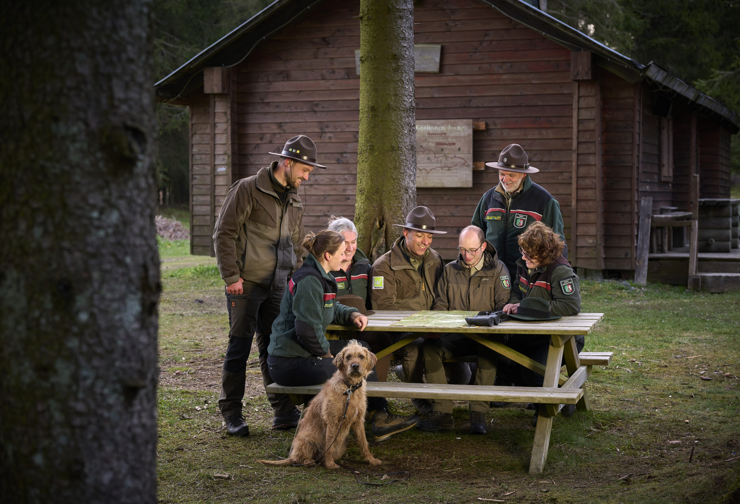 Naturerlebnis im Wald - Bildung für nachhaltige Entwicklung