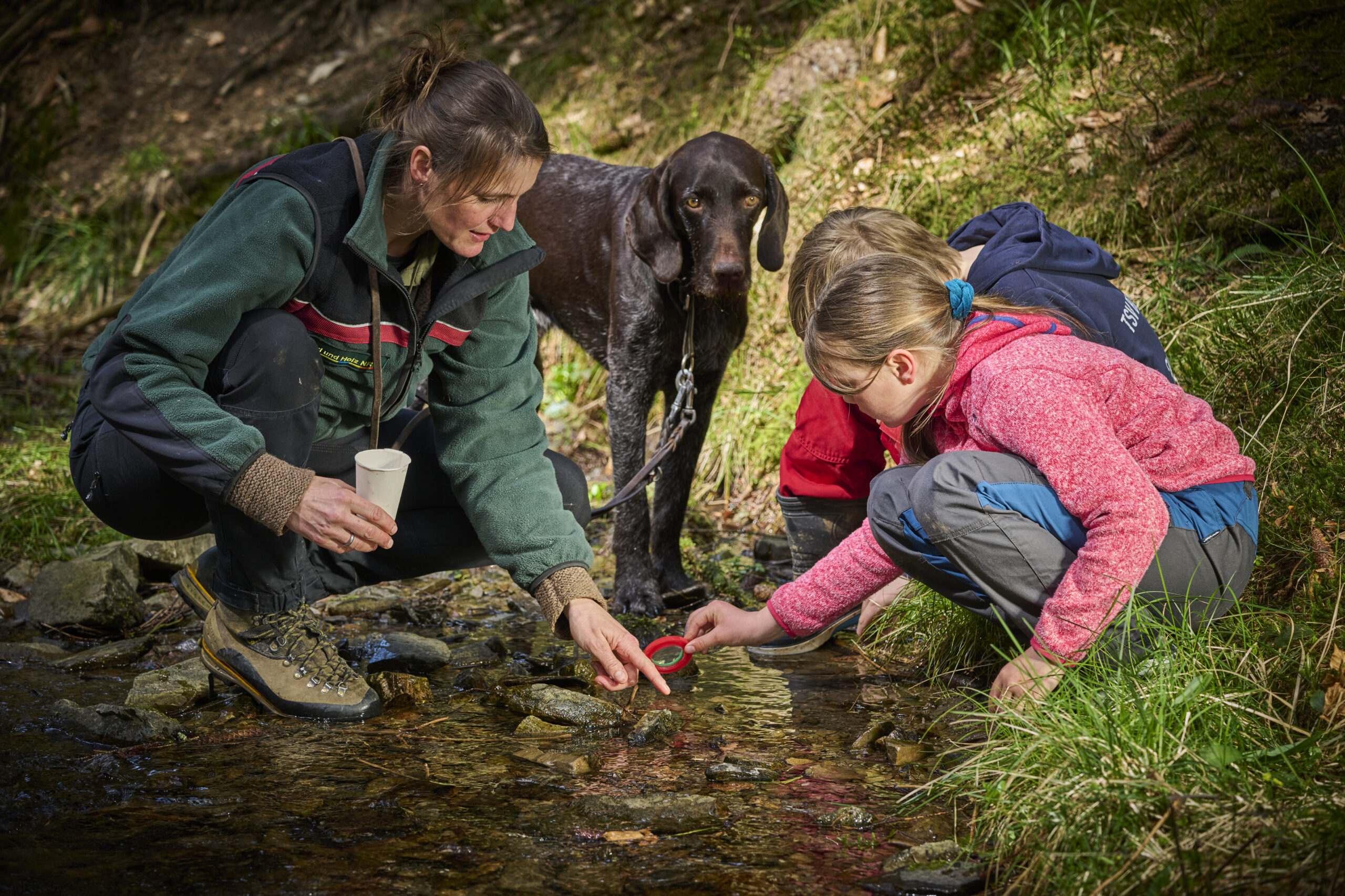 Waldökologie für Grundschüler