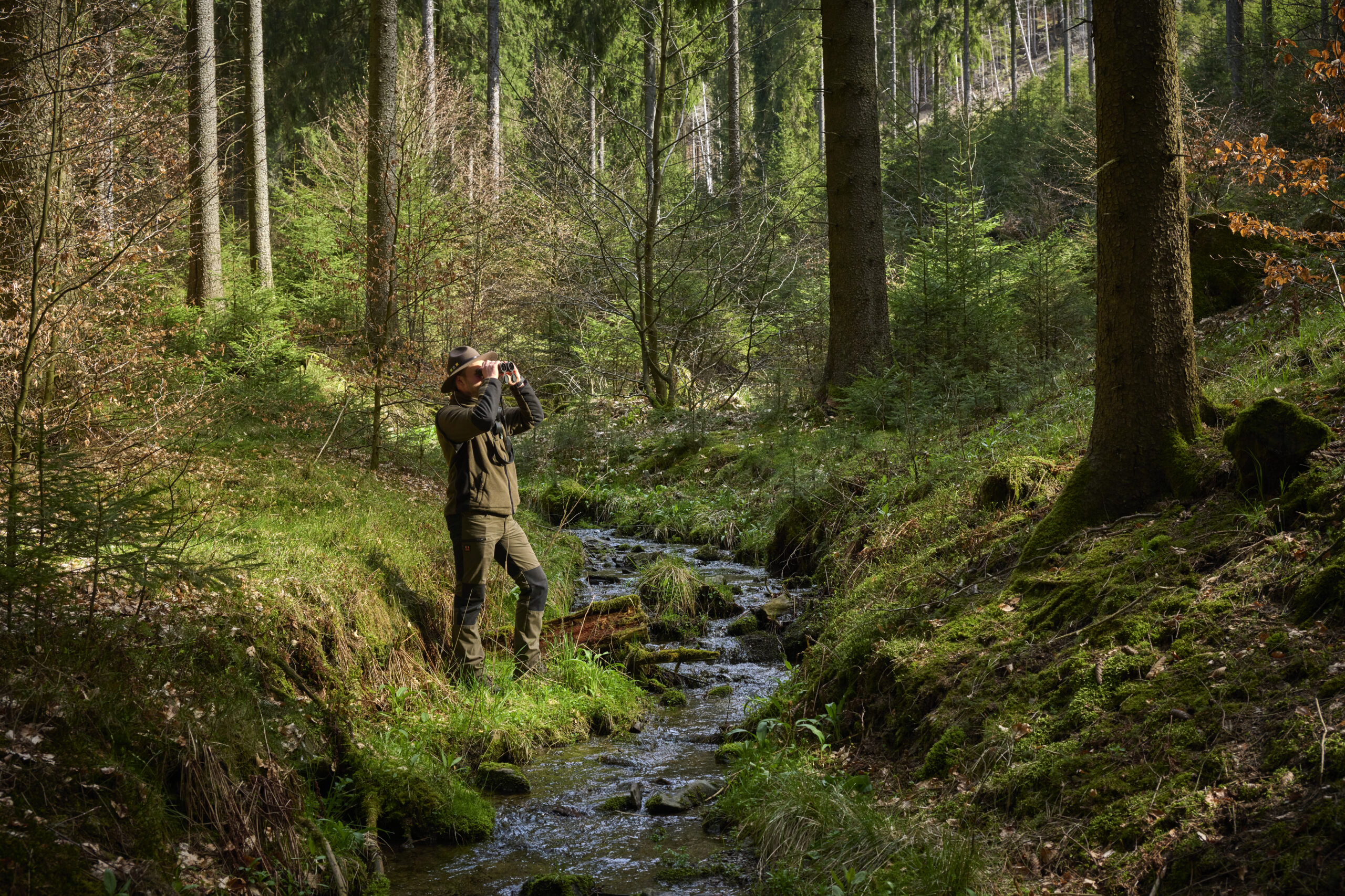 Kinder erleben den Wald