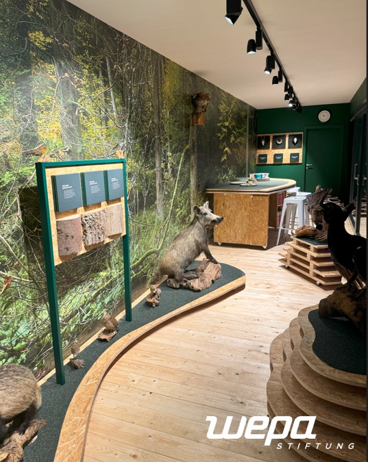 ForestLab Innenansicht