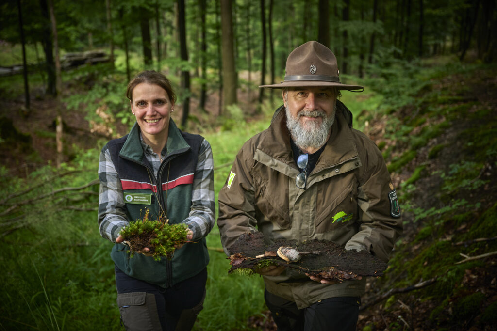 Waldexkursion mit Experten