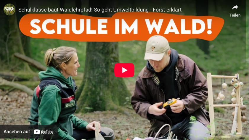 Schulklasse baut Waldlehrpfad! So geht Umweltbildung – Forst erklärt