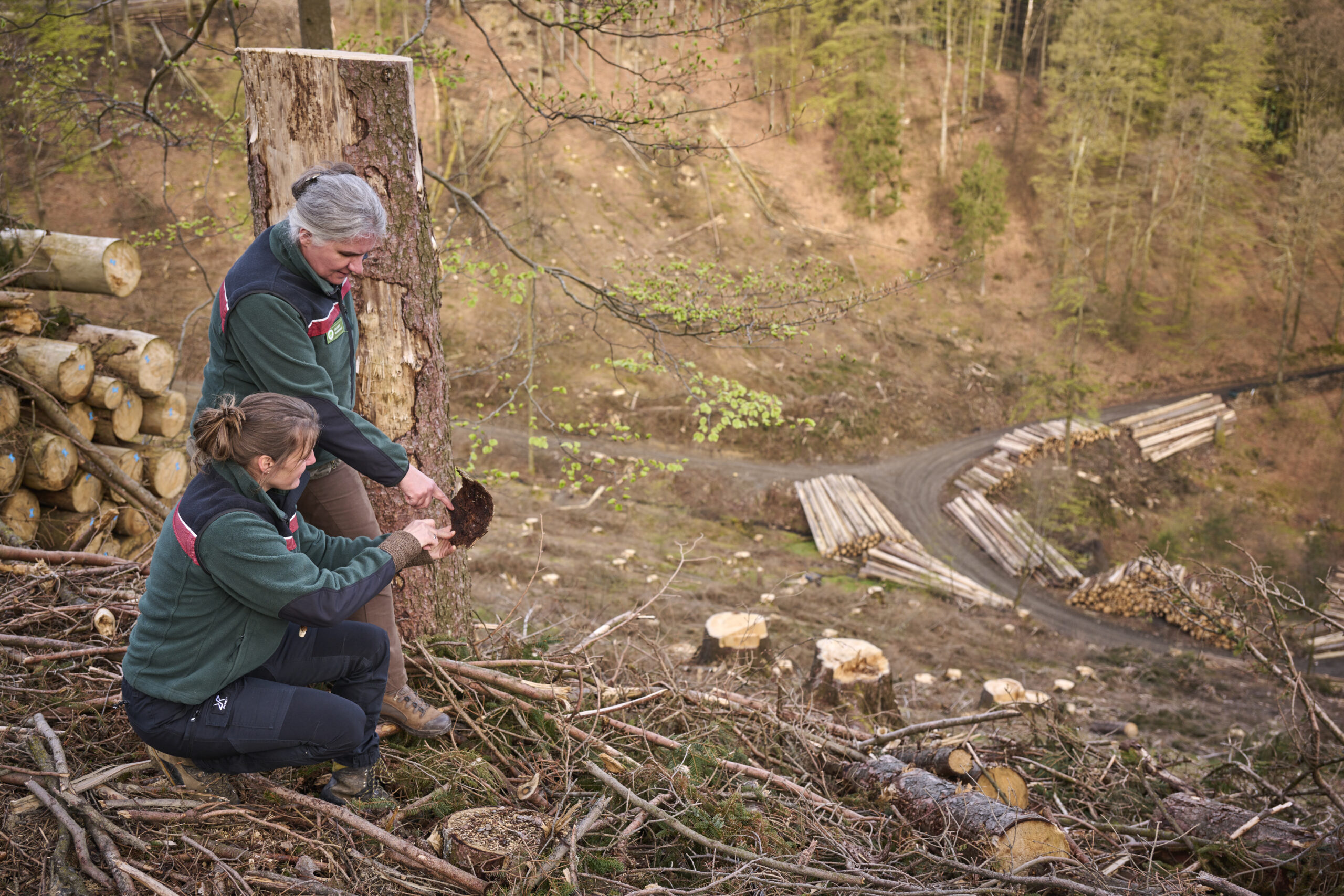 Klimawandel im Wald - Workshop für die Sekundarstufe